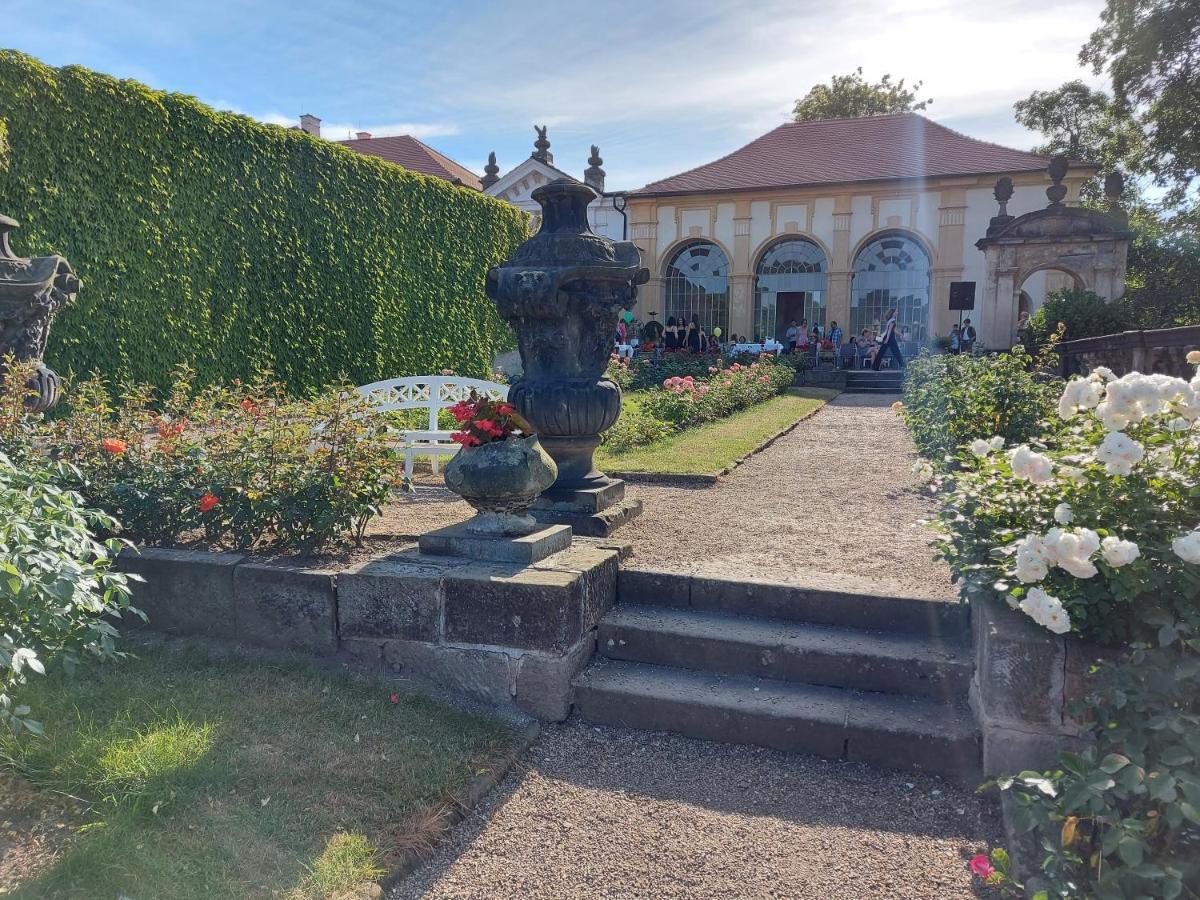 Apartments Rose Garden Дечин Экстерьер фото